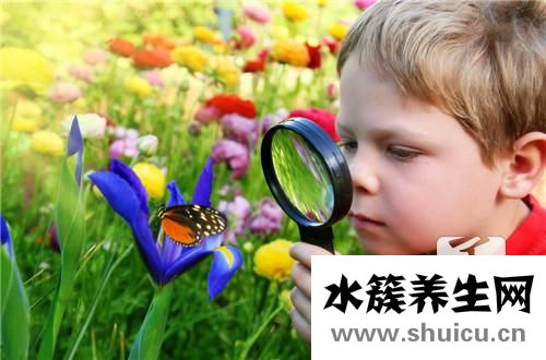 锻炼孩子专注力的方法有哪些