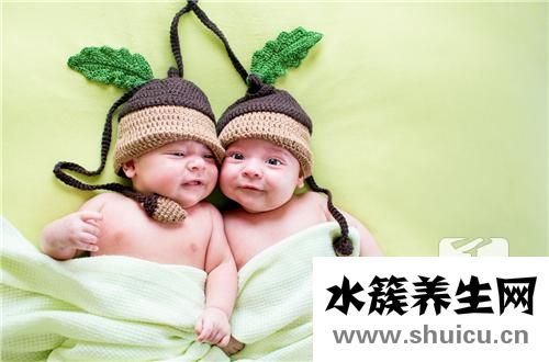 双胞胎几个月能查出来
