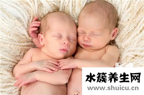 单绒双羊