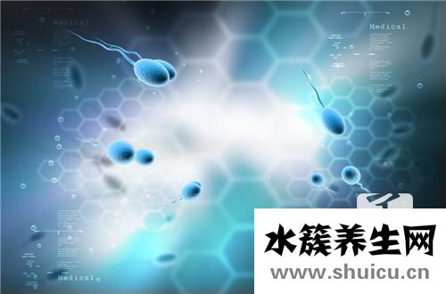 人工授精一般几次成功