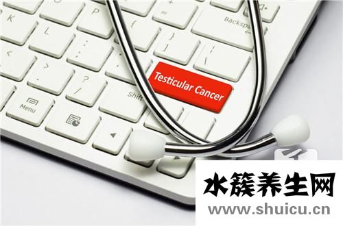 睾丸积水