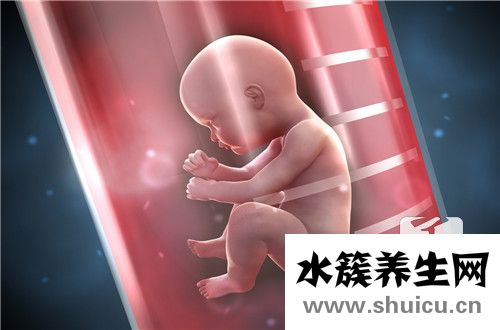 试管前期准备