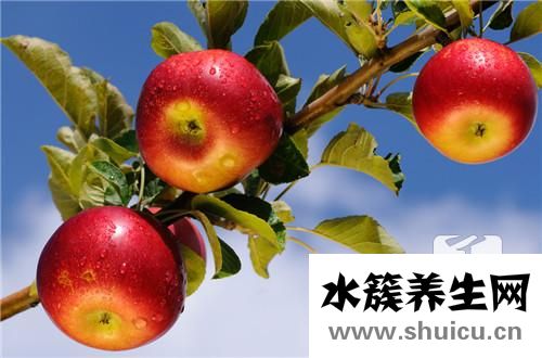 来月经可以吃苹果吗