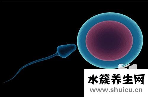 排卵后白带变化