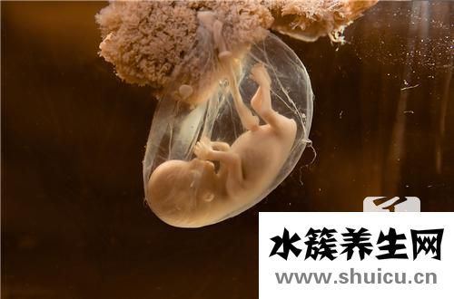 胎膜残留