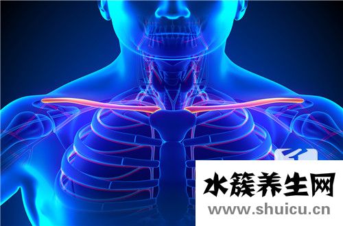 锁骨下面疼