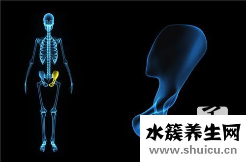 盆腔有积液怎么调理