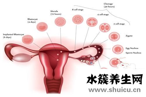 卵巢过度刺激综合症是什么