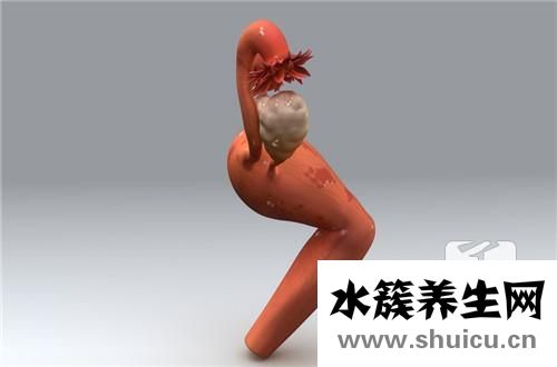 人流手术