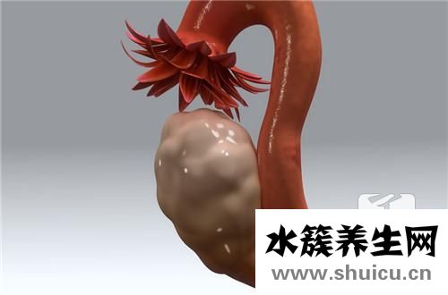 为什么宫缩