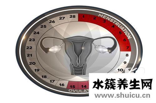 排卵后体温变化