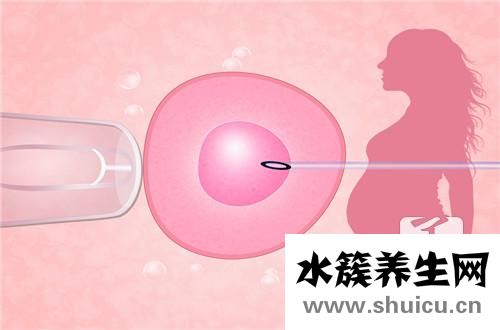 正常卵巢有几个卵泡