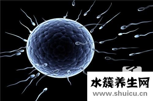 正常卵巢有几个卵泡