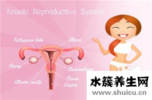 怀孕还会排卵吗