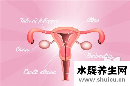 宫颈活检危害