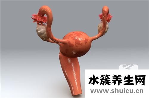 宫颈活检危害
