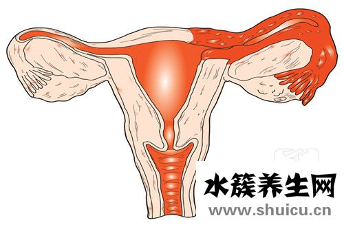多囊促排卵怀孕率高吗