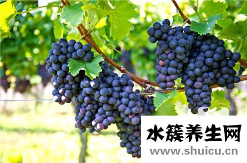 智齿疼痛