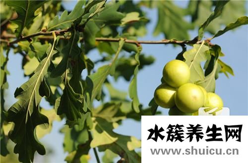 牙疼耳朵疼