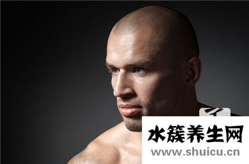 秃顶遗传规律图