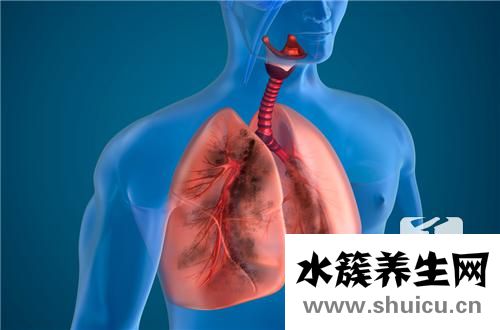 治疗支气管炎药
