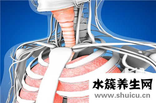 食管裂孔疝治疗