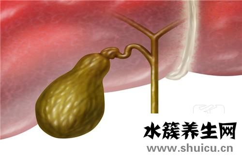 胆固醇高吃什么药最好？胆固醇血脂高吃什么药好