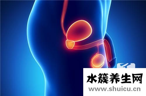 膀胱乳头状瘤复发率高吗？膀胱上皮乳头状瘤