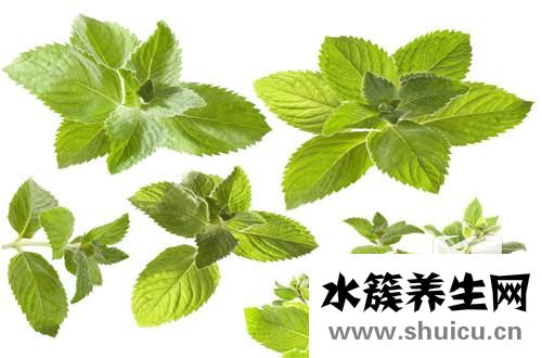 解决肚子胀气最快方法