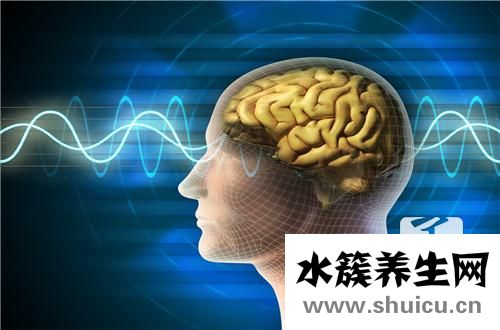 小脑发育不良症状