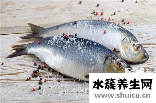 桂鱼刺多吗
