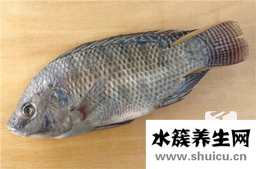 桂鱼刺多吗