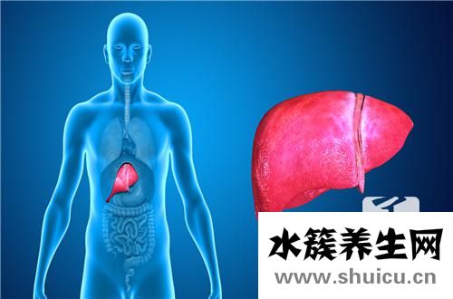 肝上有阴影有几种可能 肝上有阴影会是什么病