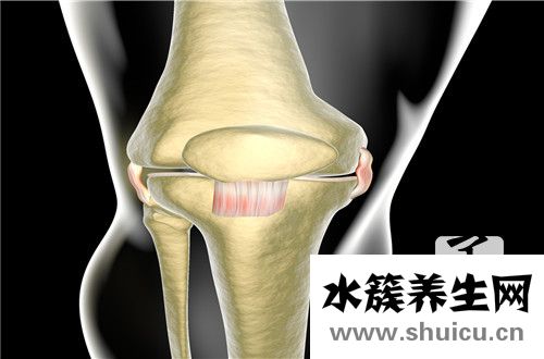 左髋关节疼