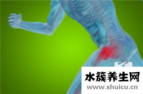 左髋关节疼