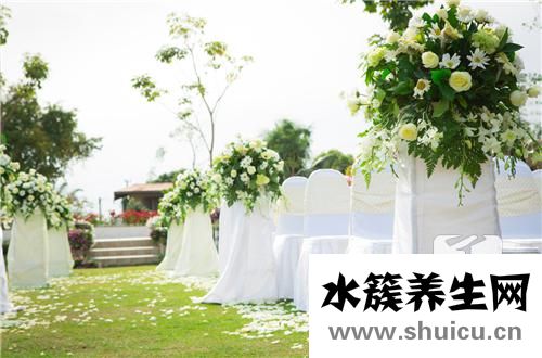 卧室放什么花好