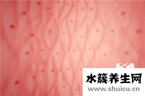 青筋是什么血管