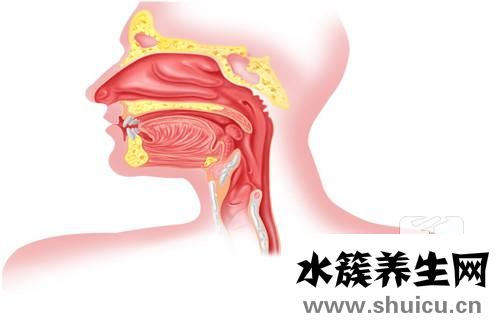 嗓子息肉
