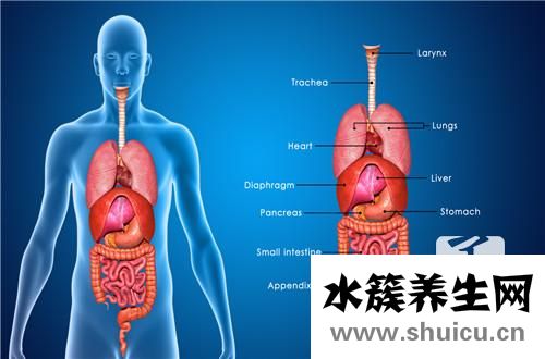 胆囊肿瘤早期症状有哪些？胆囊肿瘤有什么症状
