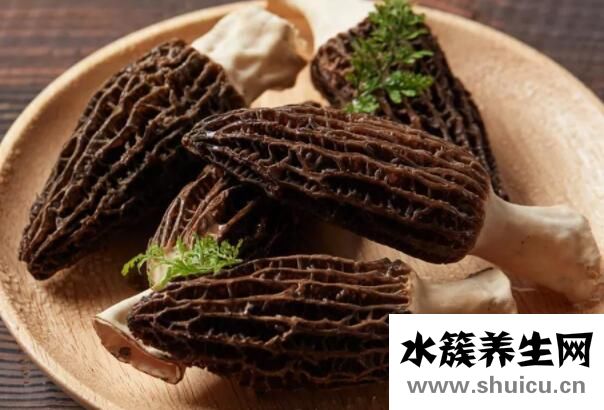 羊肚菌禁忌