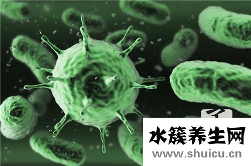 人乳头瘤病毒阳性