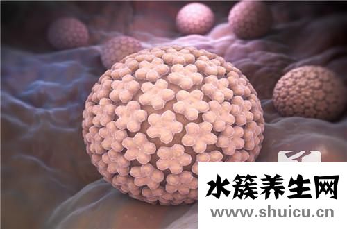 人乳头瘤病毒阳性
