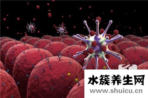 人乳头瘤病毒阳性