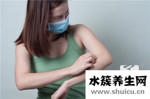 毒蚂蚁