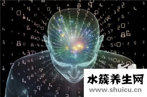 智商低办