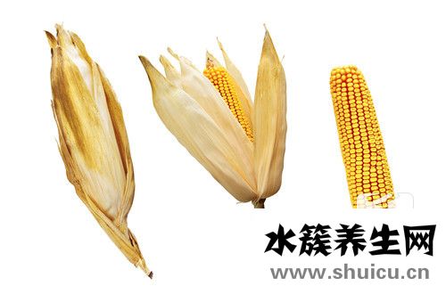 被老鼠咬