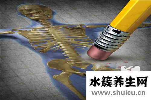骶神经