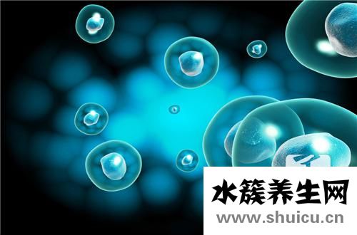 单核细胞低