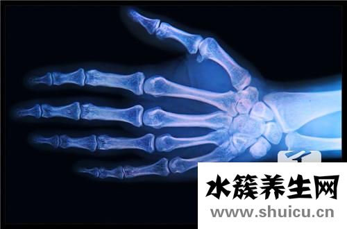 骨髓是什么