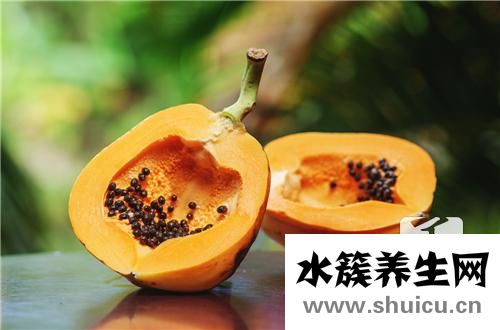 蚊子包